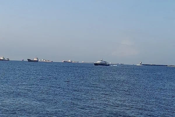 Bakırköy Belediyesi Millet Gezi Parkı - Resim 14