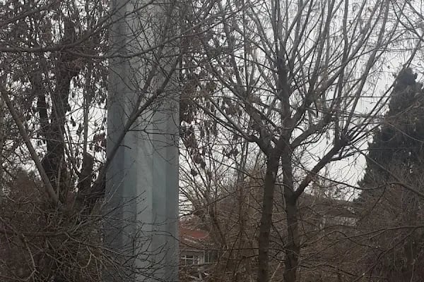 Bakırköy Belediyesi Millet Gezi Parkı - Resim 15