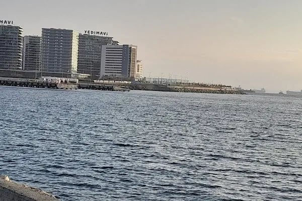 Bakırköy Belediyesi Millet Gezi Parkı - Resim 13