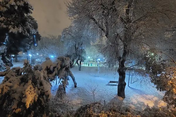 Bakırköy Belediyesi Millet Gezi Parkı - Resim 11