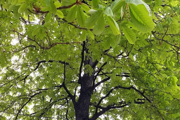 Bakırköy Belediyesi Millet Gezi Parkı - Resim 12