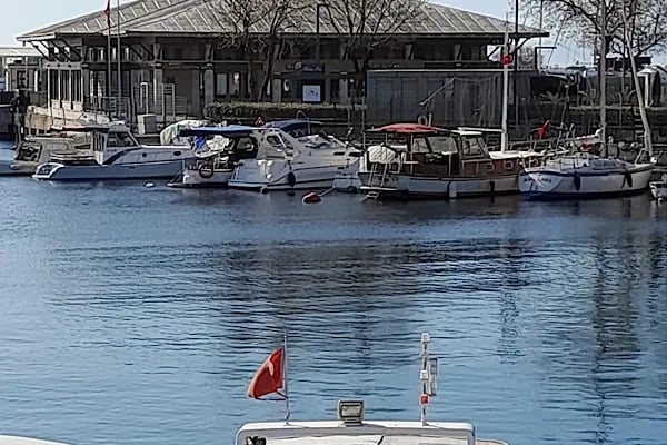 Bakırköy Belediyesi Millet Gezi Parkı - Resim 20