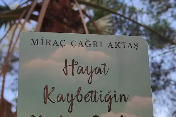 Aile Parkı - Resim 3