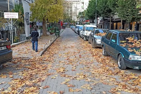 ELMAS OTO PARK & Self Servis YIKAMA - Resim 3