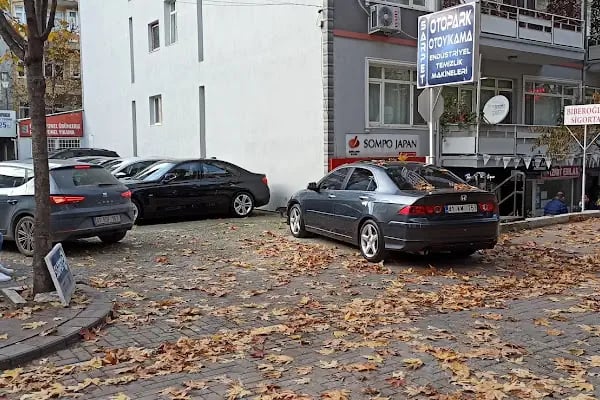 ELMAS OTO PARK & Self Servis YIKAMA - Resim 1