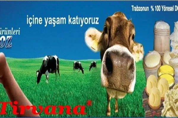 FAROZ SÜT ÜRÜNLERİ - Resim 6