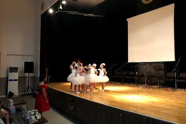 Özel Ahmet Gültekin Sanat Kursu - Resim 12