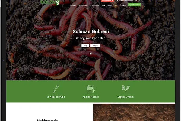 Batuhan Özyavru Freelance Web Tasarım, Wordpress Uzmanı - Resim 19