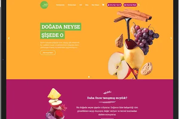 Batuhan Özyavru Freelance Web Tasarım, Wordpress Uzmanı - Resim 18