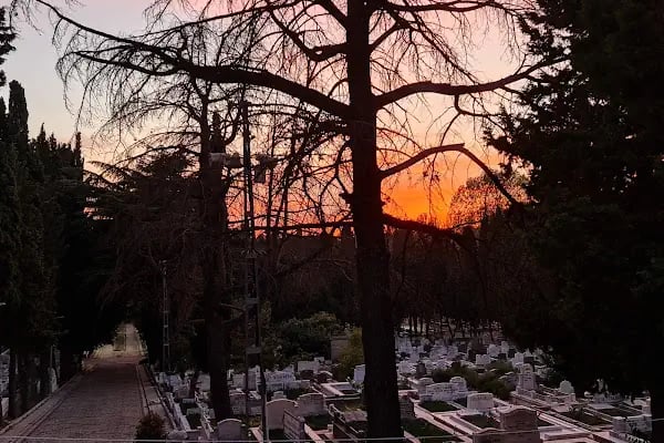 Edirnekapı Şehitlik Ve Mezarlığı - Resim 19