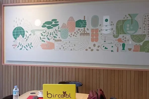 BirCool Web Tasarım Ajansı - Resim 3