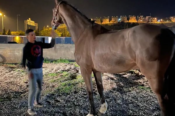 Hara Atlı Spor Kulübü - Resim 19