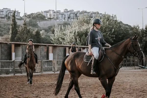 Hara Atlı Spor Kulübü - Resim 1