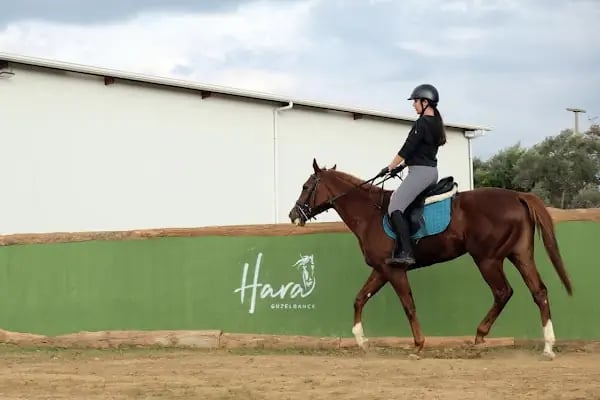 Hara Atlı Spor Kulübü - Resim 4