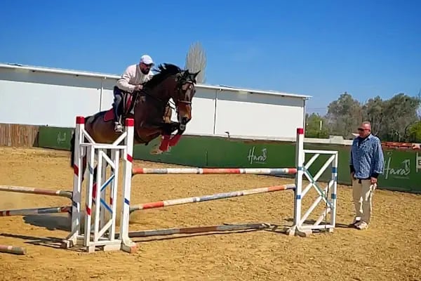 Hara Atlı Spor Kulübü - Resim 3
