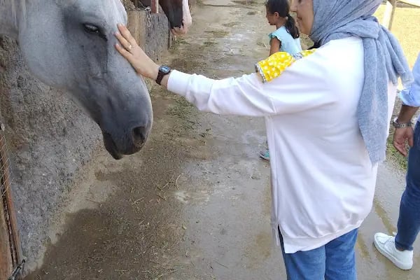 Hara Atlı Spor Kulübü - Resim 13