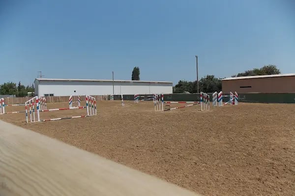 Hara Atlı Spor Kulübü - Resim 10