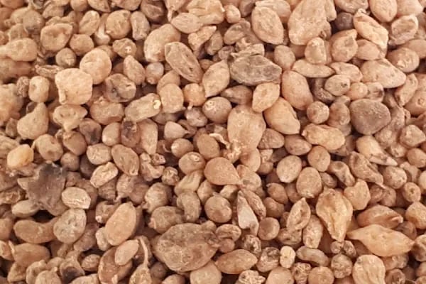 Mavi Köşe Dondurmaları - Resim 11