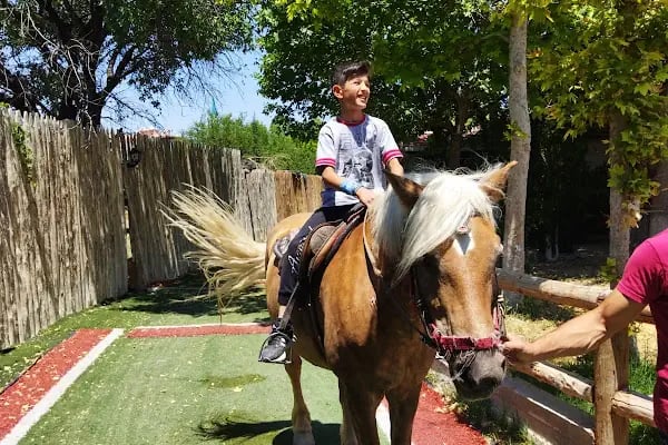 Atlıhan Binicilik ve Aile Dinlenme Tesisleri - Resim 11