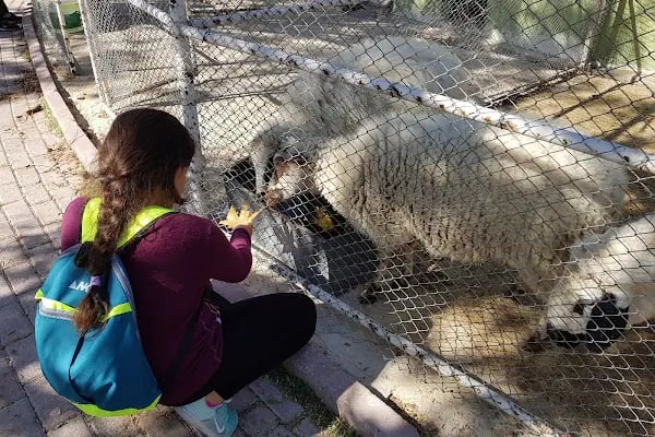Atlıhan Binicilik ve Aile Dinlenme Tesisleri - Resim 8