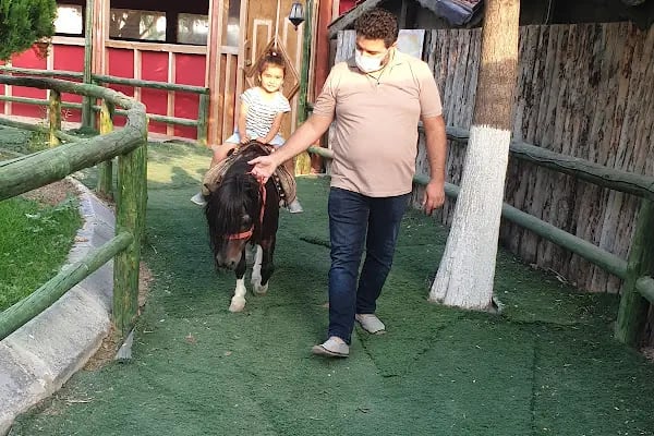 Atlıhan Binicilik ve Aile Dinlenme Tesisleri - Resim 13