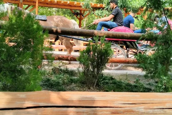 Atlıhan Binicilik ve Aile Dinlenme Tesisleri - Resim 19