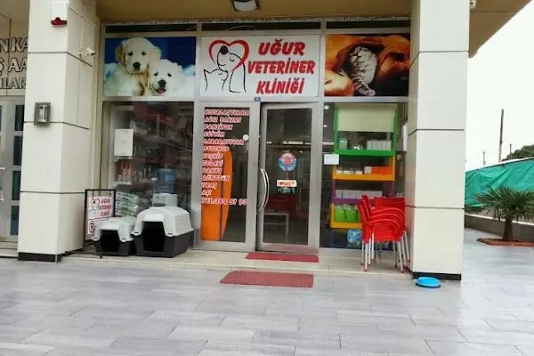 Uğur Veteriner Kliniği - Resim 2