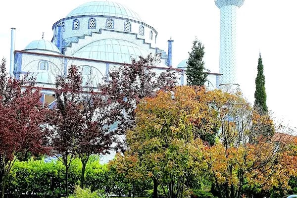 Şekerpınar Şehit Ali Atik Camii - Resim 4