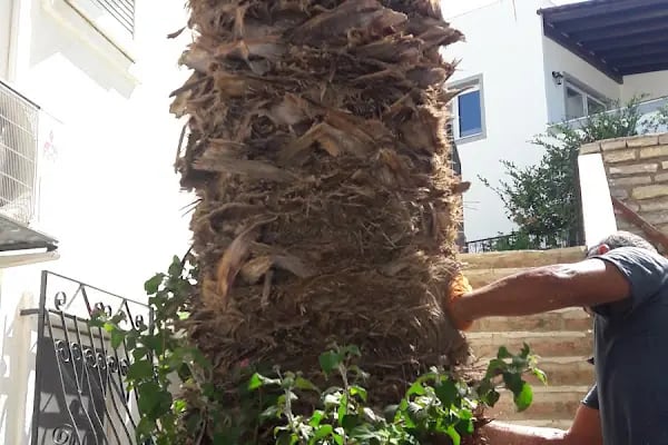 Mutluköy Sitesi - Resim 6
