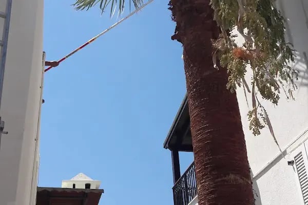 Mutluköy Sitesi - Resim 2