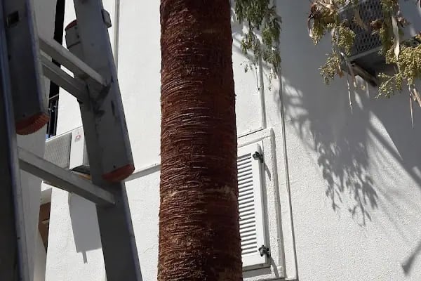 Mutluköy Sitesi - Resim 10