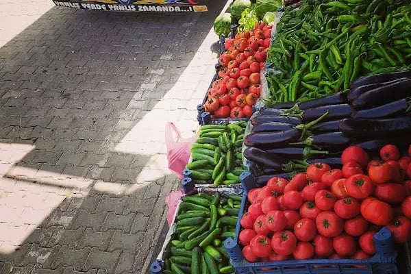 Kaplan Market - Resim 11