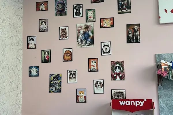 Vetberry Diyarbakır Veteriner Kliniği - 7/24 Acil Veteriner Kliniği - Resim 6