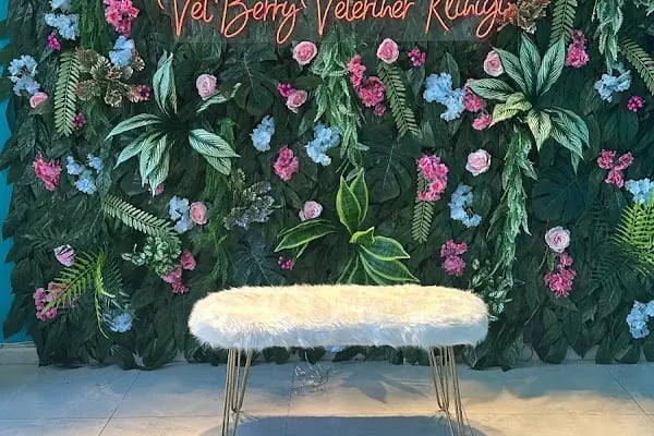 Vetberry Diyarbakır Veteriner Kliniği - 7/24 Acil Veteriner Kliniği - Resim 11