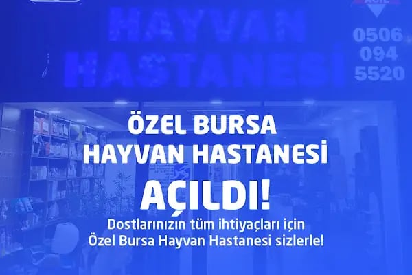 Özel Bursa Hayvan Hastanesi acil nöbetçi 7/24 veteriner - Resim 10