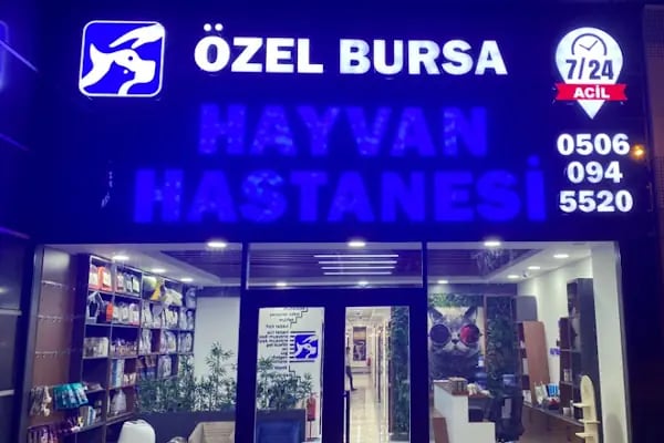 Özel Bursa Hayvan Hastanesi acil nöbetçi 7/24 veteriner - Resim 11