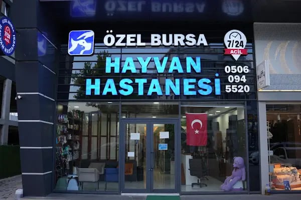 Özel Bursa Hayvan Hastanesi acil nöbetçi 7/24 veteriner - Resim 5