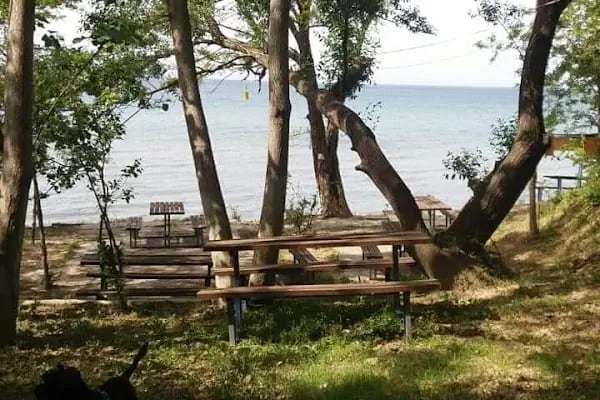 Ünal camping - Resim 3