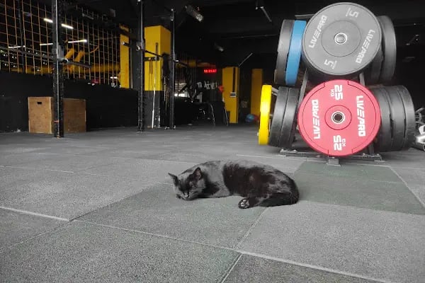 Reborn Fitness Club - Resim 10