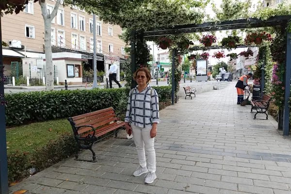 Samatya Hastane Taksi Duraği - Resim 2