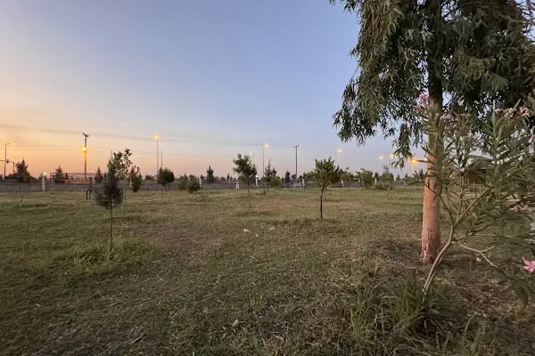 Nusaybin Devlet Hastanesi - Resim 5