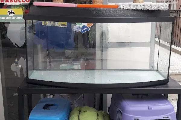 ÇINAR PETSHOP - Resim 2