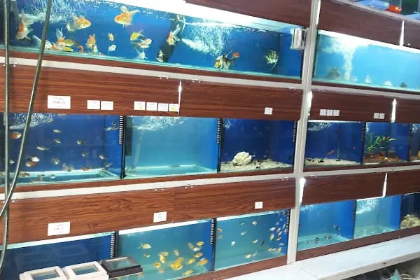 ÇINAR PETSHOP - Resim 3