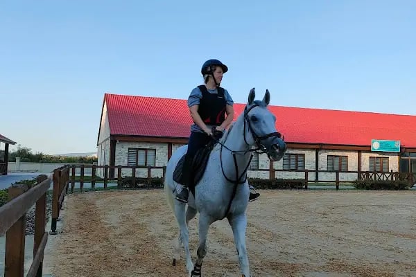Alia Atlı Spor Kulübü - Resim 11