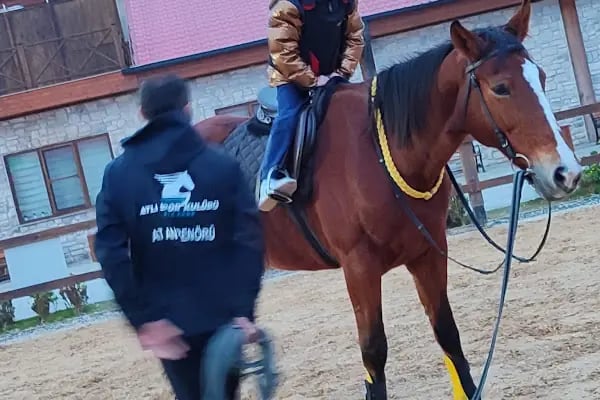 Alia Atlı Spor Kulübü - Resim 5