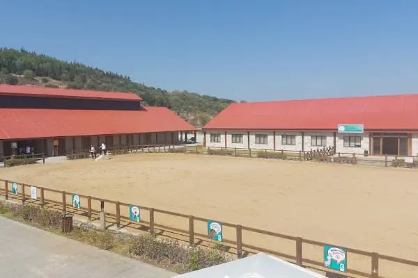 Alia Atlı Spor Kulübü - Resim 4