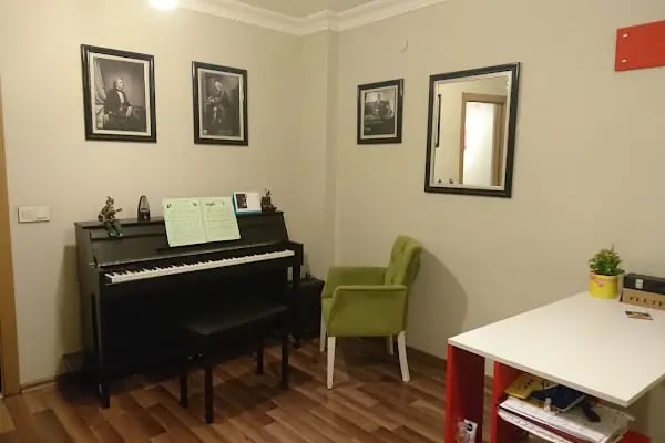T.C. M.E.B. BURAK SANCAR MÜZİK KURSU - Resim 15