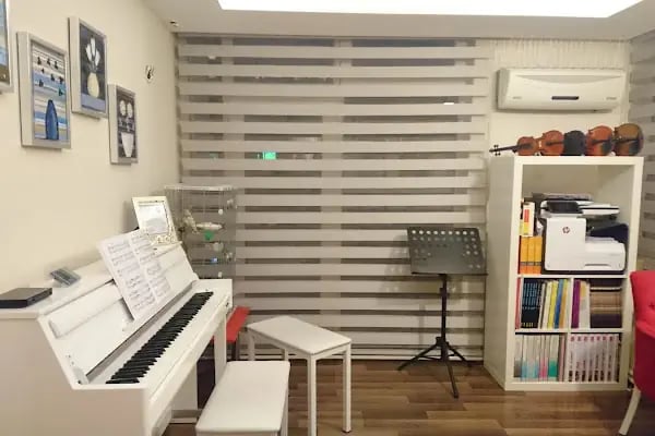 T.C. M.E.B. BURAK SANCAR MÜZİK KURSU - Resim 8