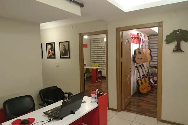 T.C. M.E.B. BURAK SANCAR MÜZİK KURSU - Resim 9