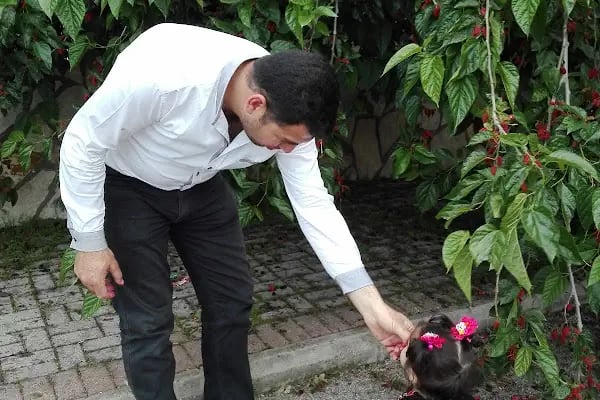 Özdemir Çocuk Parkı - Resim 3